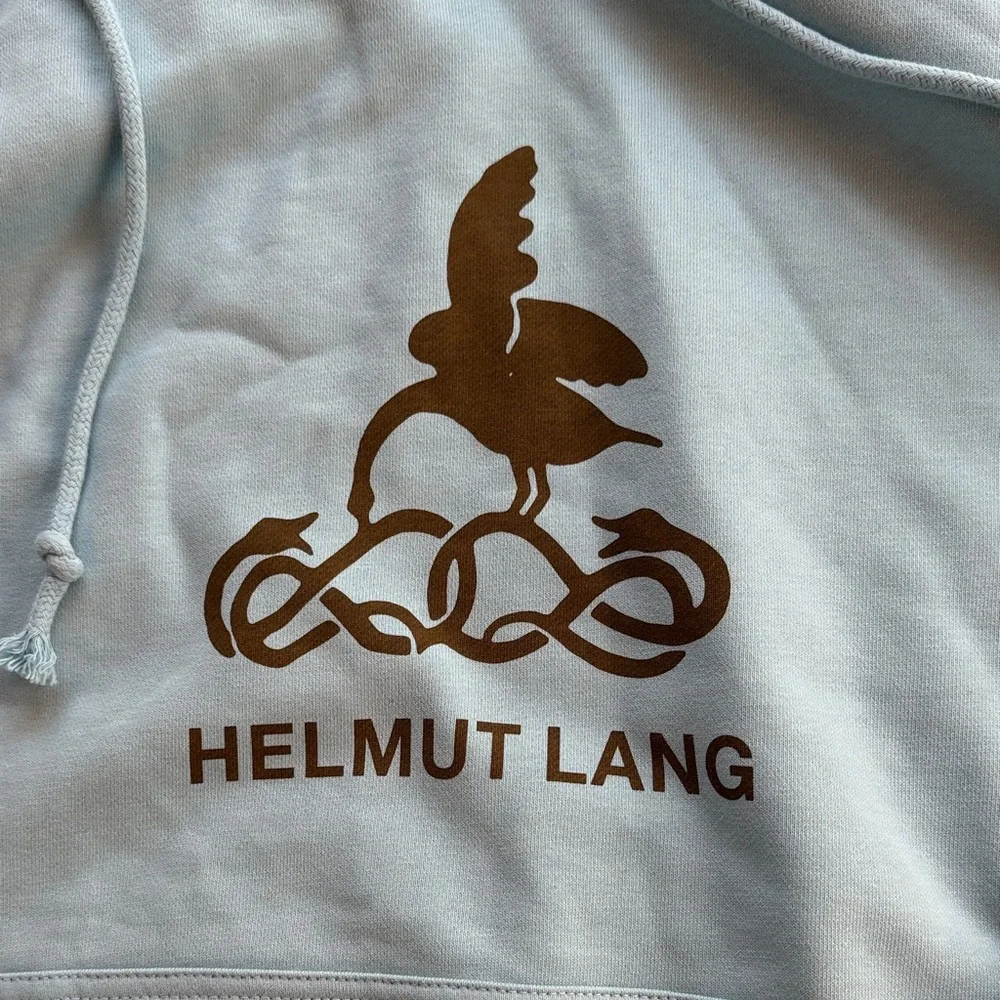 HELMUT LANG SOCIETAS HOODIE- TOPAZ - Picture 8 of 16